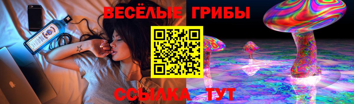 Псилоцибиновые грибы мицелий  Вход с VPN  Краснокаменск  Галлюциногенные грибы Magic Shrooms 